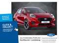 Ford Puma ST-LINE X MHEV | NAVI | LED | PANO | AUTOMATIK Rood - thumbnail 1