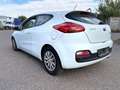 Kia ProCeed / pro_cee'd pro cee'd 1,6 CRDi Cool Weiß - thumbnail 5