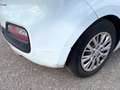 Kia ProCeed / pro_cee'd pro cee'd 1,6 CRDi Cool Weiß - thumbnail 6