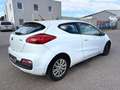 Kia ProCeed / pro_cee'd pro cee'd 1,6 CRDi Cool Weiß - thumbnail 8