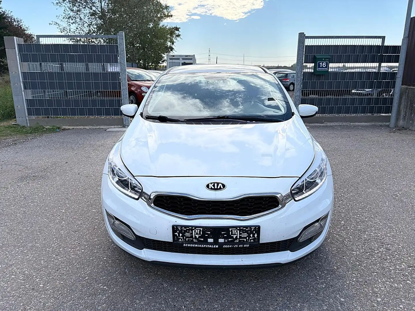 Kia ProCeed / pro_cee'd pro cee'd 1,6 CRDi Cool Weiß - 2