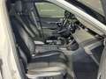 Land Rover Range Rover Evoque 2.0D I4 163 CV AWD Auto R-Dynamic SE Blanco - thumbnail 12
