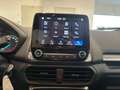 Ford EcoSport 1.0 EcoBoost *Navi *1-Hand *AHK *Tempo Beige - thumbnail 20