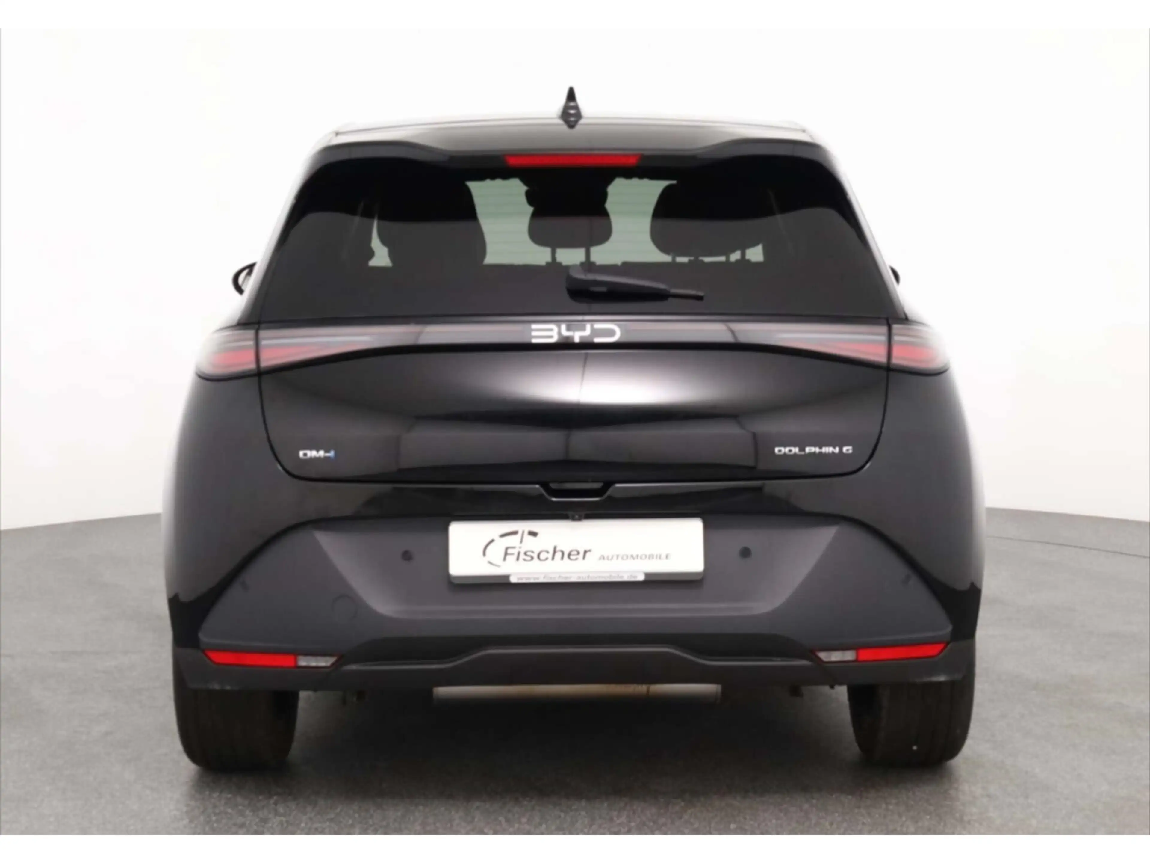 BYD Dolphin G DM-i Comfort — photo 6