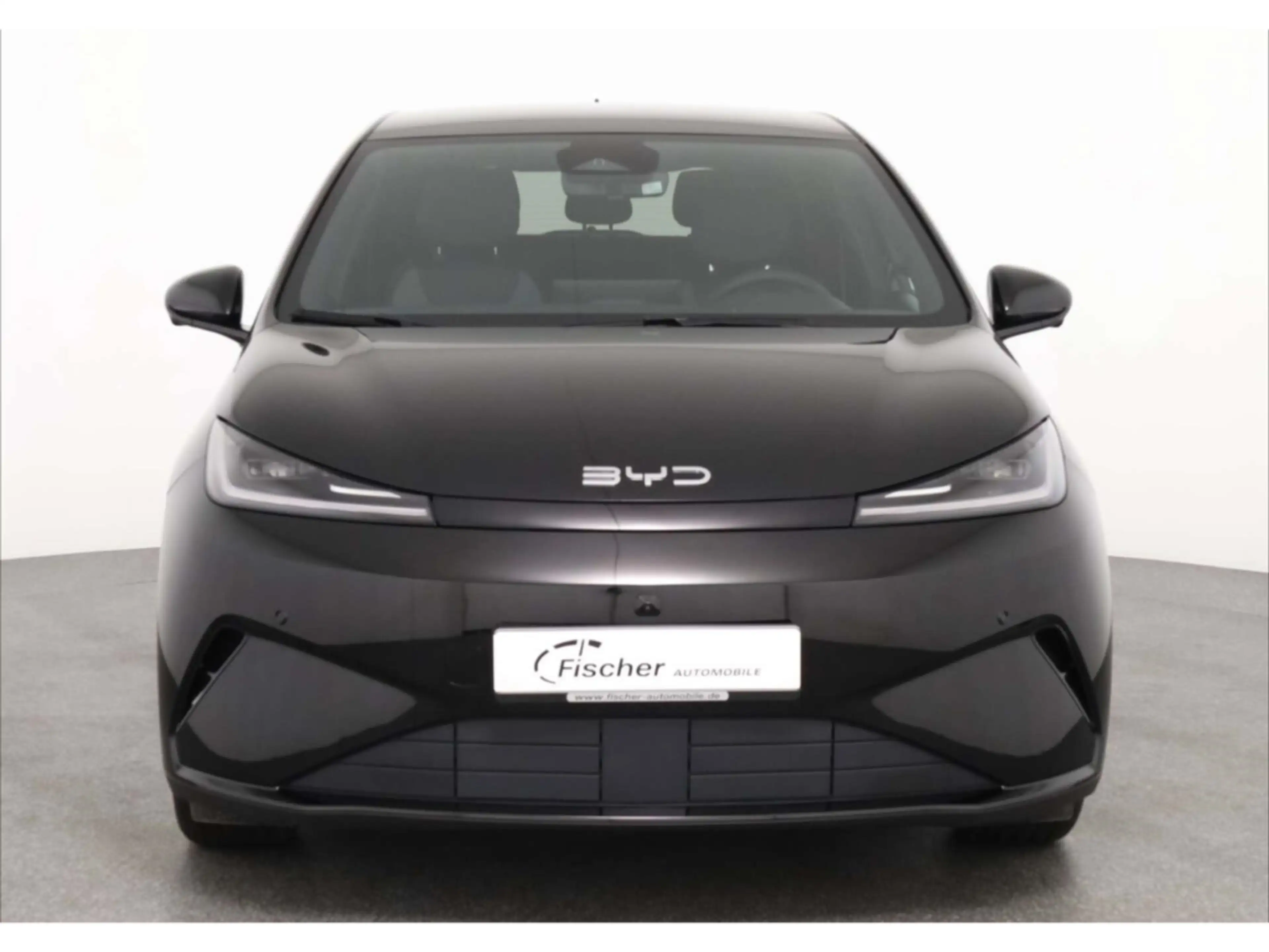 BYD Dolphin G DM-i Comfort — photo 3