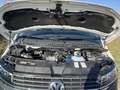 Volkswagen Transporter 6.1 Weiß - thumbnail 16
