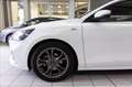 Ford Focus 1.0 ecoboost h ST-Line s&s 125cv my20.75 Bianco - thumbnail 7