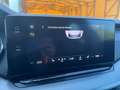 Skoda Octavia 2.0 TDI EVO SCR 150 CV DSG 4x4 Wagon Executive Bianco - thumbnail 17