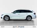 Skoda Octavia 2.0 TDI EVO SCR 150 CV DSG 4x4 Wagon Executive Bianco - thumbnail 2