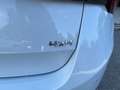Skoda Octavia 2.0 TDI EVO SCR 150 CV DSG 4x4 Wagon Executive Bianco - thumbnail 41