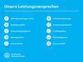 Volkswagen Golf Life 1.5 eTSI DSG SHZ AppConnect Lenkrad heizbar Grau - thumbnail 5