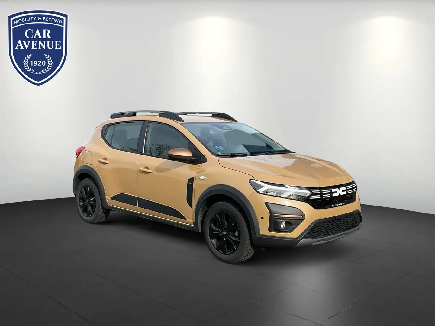 Dacia Sandero III Stepway Extreme+ 1.0 TCe 110 Beige - 2