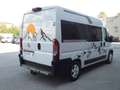 Fiat DUCATO 3.0 M.JET 177 CV 7 POSTI Bianco - thumbnail 7