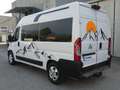 Fiat DUCATO 3.0 M.JET 177 CV 7 POSTI Bianco - thumbnail 5