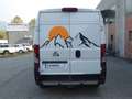 Fiat DUCATO 3.0 M.JET 177 CV 7 POSTI Bianco - thumbnail 6