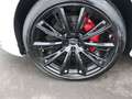 Audi Q8 competition+ 50 TDI quattro / Pano, AHK, B&O Weiß - thumbnail 17