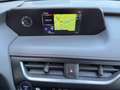 Lexus UX 250h F Sport 2WD Wit - thumbnail 11