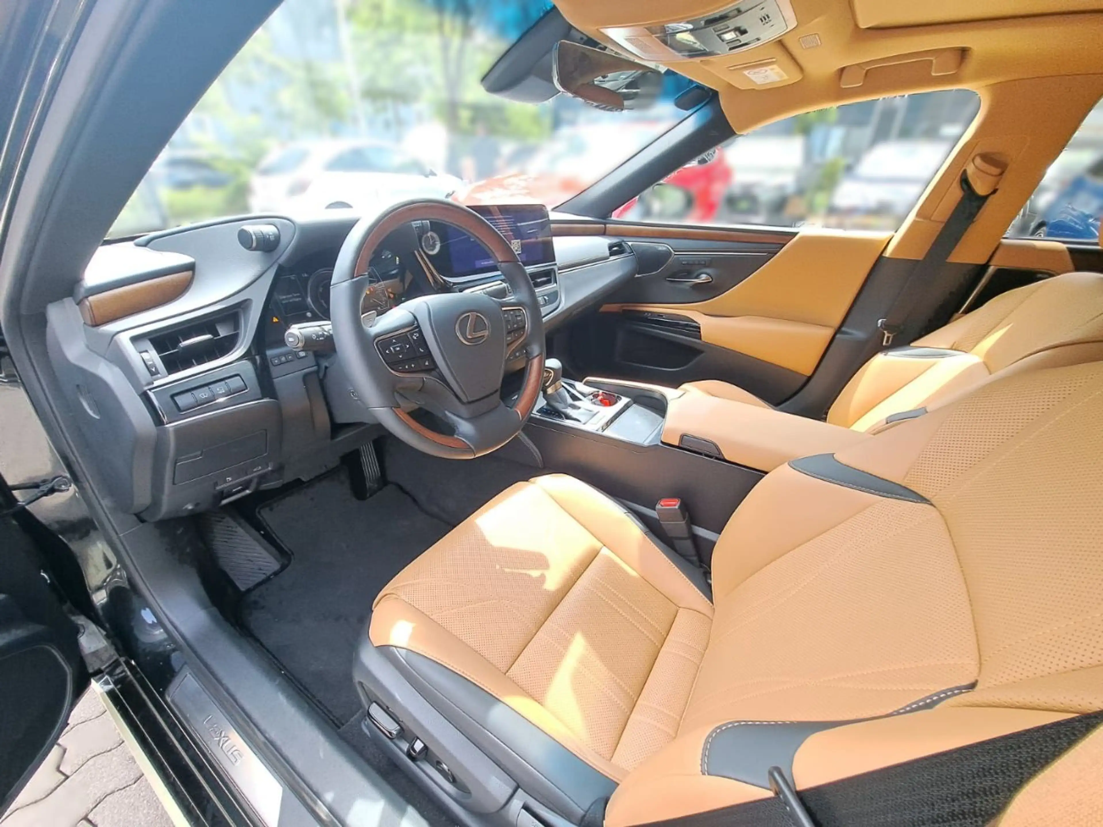 Lexus ES 300 h Luxury TAXI Paket + Folierung — photo 13