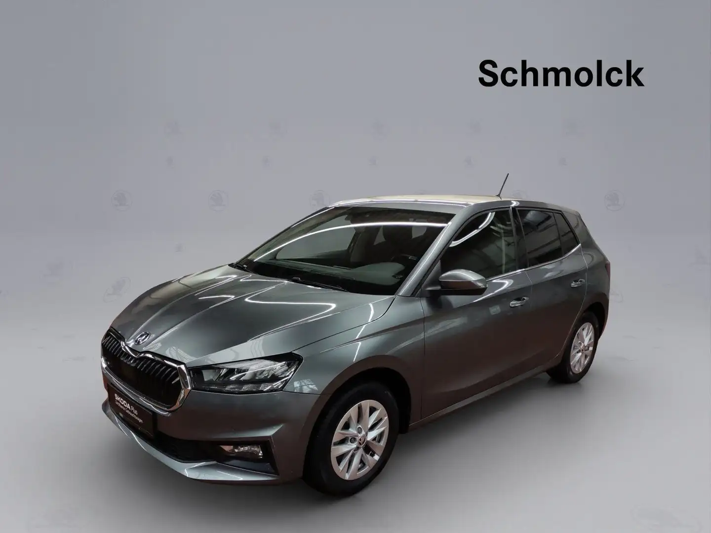 Skoda Fabia Style 1.0 TSI 110PS ACC NAVI LED RFK DAB Grau - 1