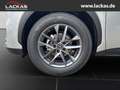 Lexus LBX Basis*1.5*KOMFORT-PAK.*SHZ*PDC*15J-GARANTIE* Plateado - thumbnail 17