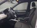 SEAT Arona XCELLENCE Weiß - thumbnail 9