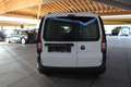 Volkswagen Caddy MAXI KASTEN 1.5TSI WSS HEIZBAR RF-KAMERA AGR-SITZ Weiß - thumbnail 16