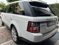 Land Rover Range Rover Sport 3.0 tdV6 HSE 211cv auto 8m Blanco - thumbnail 3