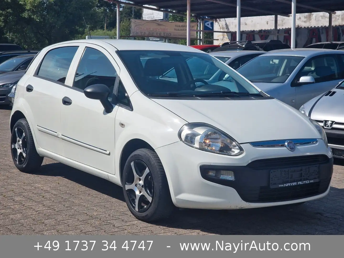 Fiat Punto Evo Active | Klima | 5 Türer Weiß - 1