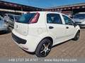 Fiat Punto Evo Active | Klima | 5 Türer Weiß - thumbnail 4