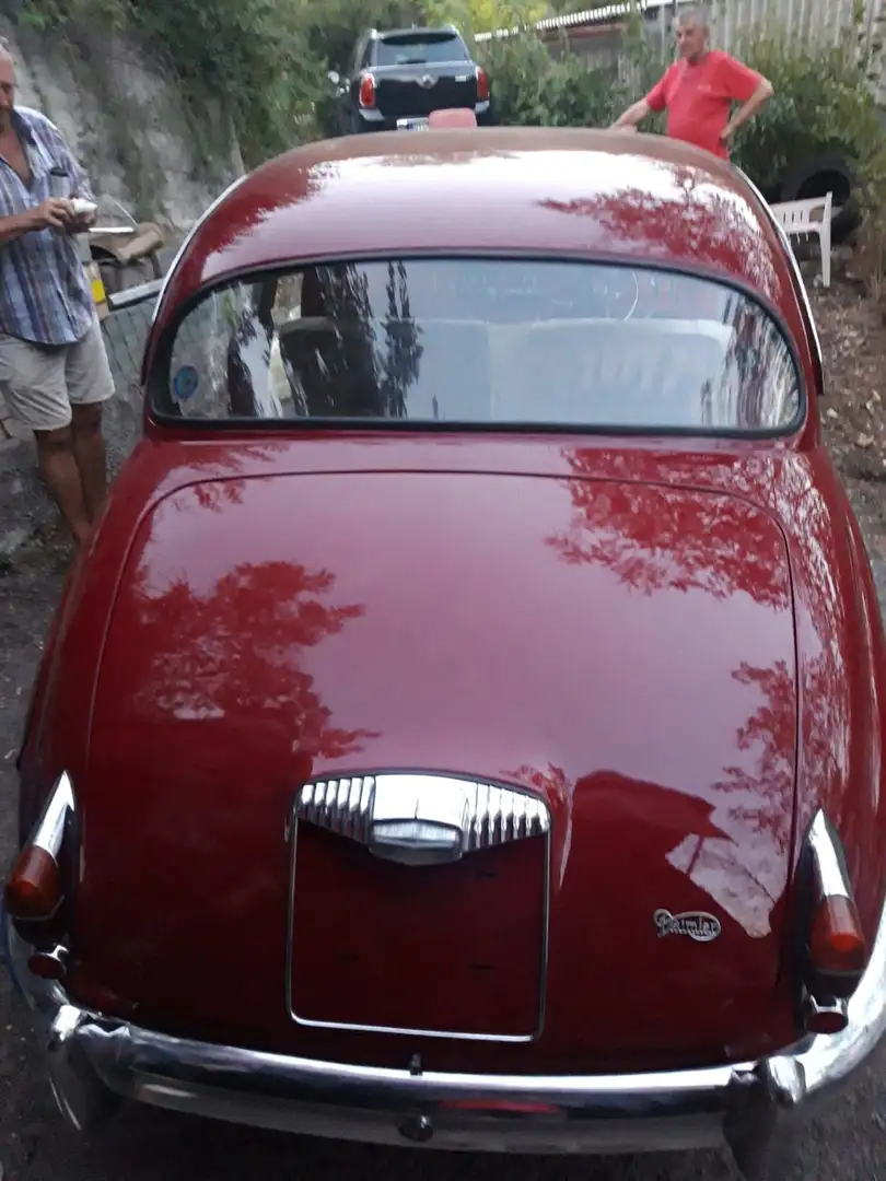 Daimler V8 250 Rot - 2