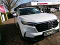 Honda CR-V 2,0 Advance AWD-Bose-360°- 8 Jahre Garantie Weiß - thumbnail 14