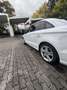 Audi A3 basis Weiß - thumbnail 5