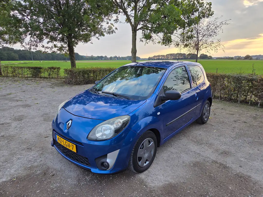 Renault Twingo 2010 из Европы — купить под ключ