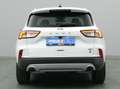 Ford Kuga Titanium X 225PS PHEV Aut./Winter-P./PDC Weiß - thumbnail 7