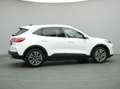 Ford Kuga Titanium X 225PS PHEV Aut./Winter-P./PDC Weiß - thumbnail 45