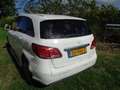 Mercedes-Benz B 220 B 220 Ambition Wit - thumbnail 5