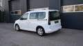 Volkswagen Caddy Caddy 2,0 TDI 4MOTION / AHV / MODELL 2022 / Weiß - thumbnail 4