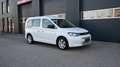 Volkswagen Caddy Caddy 2,0 TDI 4MOTION / AHV / MODELL 2022 / Weiß - thumbnail 2