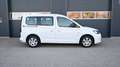 Volkswagen Caddy Caddy 2,0 TDI 4MOTION / AHV / MODELL 2022 / Weiß - thumbnail 3