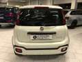 Fiat Panda 1.0 FireFly S&S Hybrid City Cross Bianco - thumbnail 4