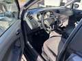 SEAT Ibiza Stylance / Style Grau - thumbnail 5