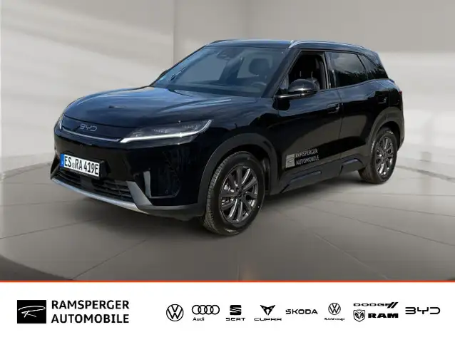 BYD Sonstige