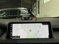 BMW X5 xDrive35i High Executive | Rubinschwarz | M-Sport Negro - thumbnail 17