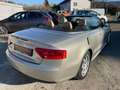 Audi A5 2.0 TDI Cabrio Leder Navi Xenon Grau - thumbnail 5