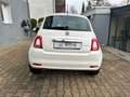 Fiat 500 Fiat 500 1.0 Mild Hybrid Lounge|Navi|MFL|Tempom. Bianco - thumbnail 3