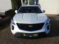 Cadillac XT4 Sport 2.0 TD inkl. 500 € Tankgutschein Weiß - thumbnail 6