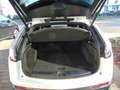 Cadillac XT4 Sport 2.0 TD AWD+LED+Navi+SHZ Weiß - thumbnail 9