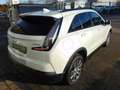 Cadillac XT4 Sport 2.0 TD AWD+LED+Navi+SHZ Weiß - thumbnail 8