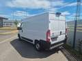 Citroen Jumper 33 L2H2 Club BlueHDi 140 Blanco - thumbnail 5