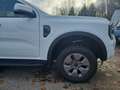 Ford Ranger DK XLT 2,3L PHEV 281PS A AWD Weiß - thumbnail 24